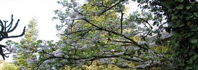 Valeurs, politique, histoire